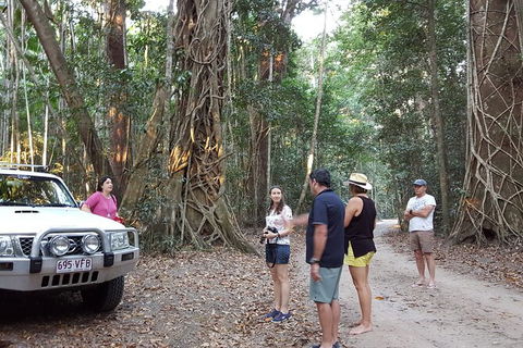 Great Beach Drive 4WD Tour - Private Charter From Noosa To Rainbow Beach - Attractions Sydney 8