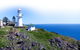 Great Beach Drive 4WD Tour - Private Charter From Noosa To Rainbow Beach - thumb 6
