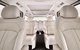 Luxury Van, Private Transfer, Port Douglas - Cairns - thumb 2