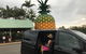 Private Transfer From Noosa To Sunshine Coast Airport For 1 To 4 People - thumb 4