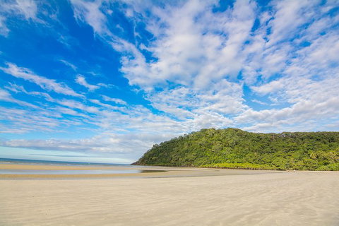 Daintree Afternoon Nocturnal Nature And Wildlife Tour - Attractions Sydney 8