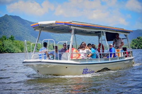 Daintree Afternoon Nocturnal Nature And Wildlife Tour - Attractions Sydney 6