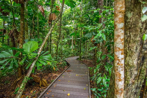 Daintree Afternoon Nocturnal Nature And Wildlife Tour - Attractions Sydney 9