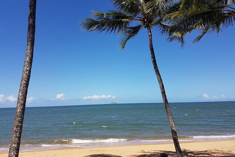 Airport Transfers Between Cairns Airport And Palm Cove - Attractions Sydney 8