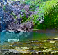 Reef Wildlife  Rainforest - Reef  Beyond Guided Holidays - Attractions Sydney