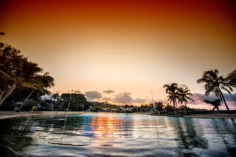 Reef, Wildlife & Rainforest - Reef & Beyond Guided Holidays - Attractions Sydney 6