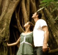 Daintree and Cape Tribulation Full Day Guided Tour - Attractions Sydney