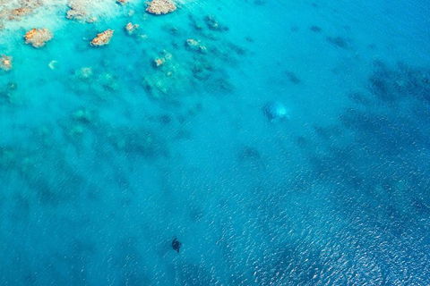Premium Private Charter - Attractions Sydney 5