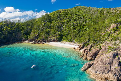 Premium Private Charter - Attractions Sydney 3