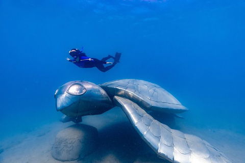 Premium Private Charter - Attractions Sydney 9