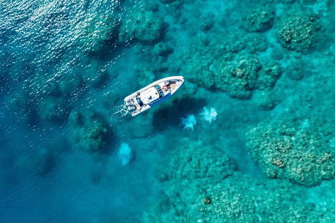 Premium Private Charter - Attractions Sydney 0