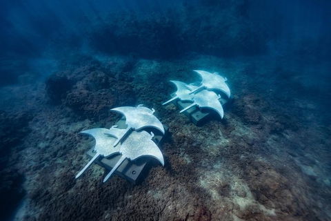 Premium Private Charter - Attractions Sydney 8