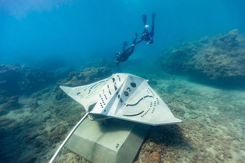Premium Private Charter - Attractions Sydney 10