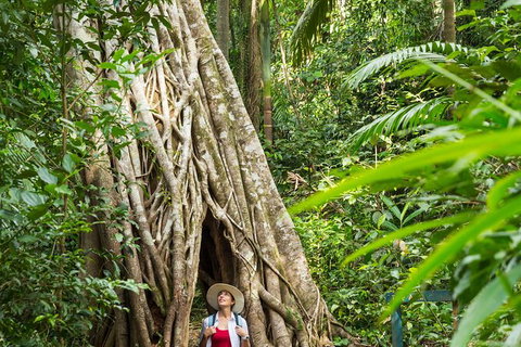 Rainforest To Reef Experience - Reef And Beyond Guided Holidays - Attractions Sydney 2