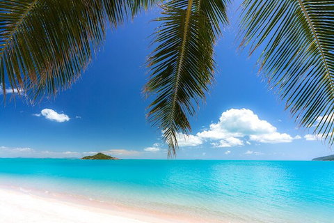 Rainforest To Reef Experience - Reef And Beyond Guided Holidays - Attractions Sydney 1