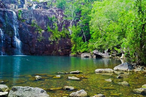 Rainforest To Reef Experience - Reef And Beyond Guided Holidays - Attractions Sydney 5