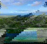 Daintree Luxury Limousine Tour - Full Day - Attractions Sydney