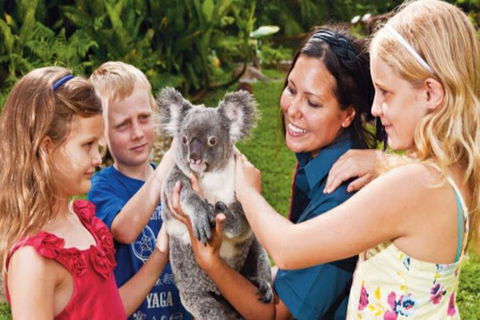 Kuranda Day Tour + HotAir Balloon Combo - Attractions Sydney 9