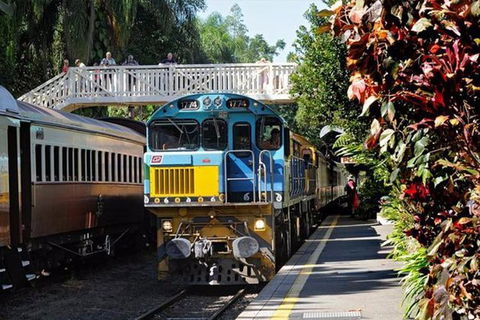 Kuranda Day Tour + HotAir Balloon Combo - Attractions Sydney 3