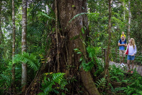 Kuranda Day Tour + HotAir Balloon Combo - Attractions Sydney 11
