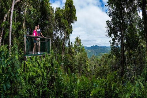 Kuranda Day Tour + HotAir Balloon Combo - Attractions Sydney 6