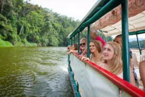 Kuranda Day Tour + HotAir Balloon Combo - Attractions Sydney 13