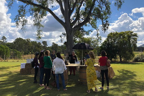 Hinterland Cheese & Wine Tasting Tour - With 2 Course Lunch Included - Attractions Sydney 1