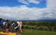 Hinterland Cheese & Wine Tasting Tour - With 2 Course Lunch Included - thumb 3