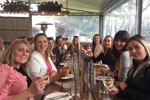 Hinterland Cheese & Wine Tasting Tour - With 2 Course Lunch Included - Attractions Sydney 0