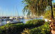 Half-Day Walking Progressive Degustation Tour In Cairns - thumb 1