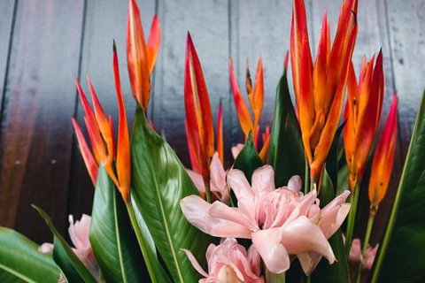 Half-Day Walking Progressive Degustation Tour In Cairns - Attractions Sydney 4