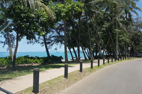 Private Transfers - Cairns Airport To Palm Cove - Attractions Sydney 6