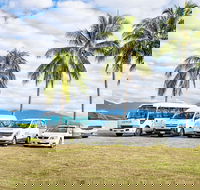 Private Transfers - Cairns Airport to Palm Cove