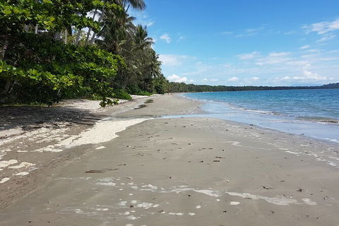Private Transfers - Cairns Airport To Palm Cove - Attractions Sydney 1