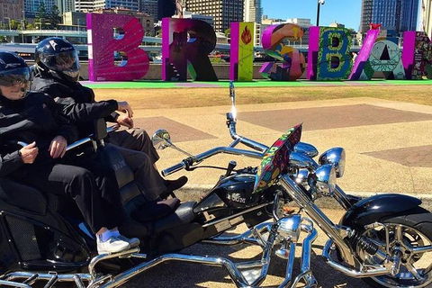 Unique Vehicle Tour Around Brisbane - Attractions Sydney 3