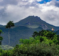 Port Douglas Daintree National Park Boutique Full-Day Tour - Attractions Sydney