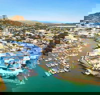 Explore Townsville 7 Hour Guided River Mountain and City Tour - Attractions Sydney