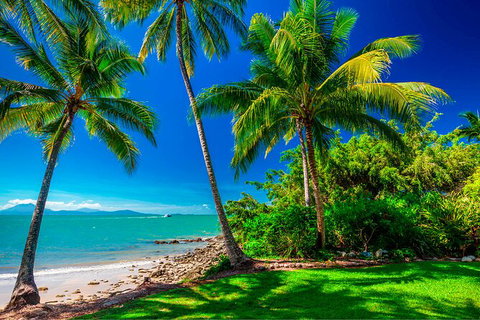 SHUTTLE - Port Douglas And Craiglie Return Transfer - Attractions Sydney 2