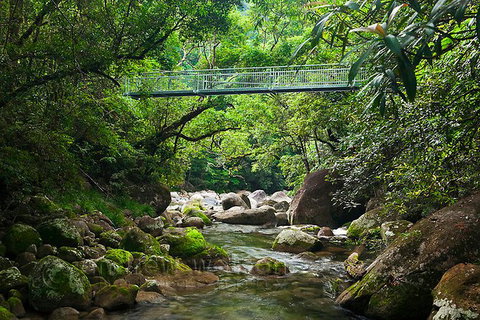 SHUTTLE - Mossman Gorge & Cooya Beach From Port Douglas (Return Transfer) - Attractions Sydney 4