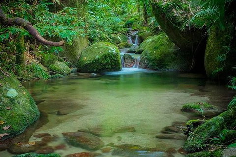 SHUTTLE - Mossman Gorge & Cooya Beach From Port Douglas (Return Transfer) - Attractions Sydney 2