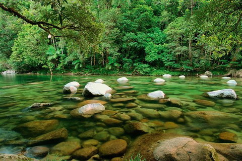 SHUTTLE - Mossman Gorge & Cooya Beach From Port Douglas (Return Transfer) - Attractions Sydney 3