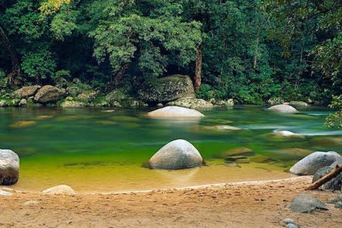SHUTTLE - Mossman Gorge & Cooya Beach From Port Douglas (Return Transfer) - Attractions Sydney 1