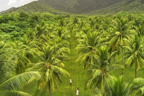 SHUTTLE - Thala Beach And Turtle Cove From Port Douglas (Return Transfer) - Attractions Sydney 1