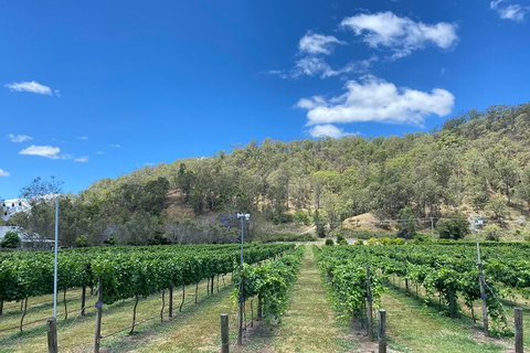 Hinterland Heritage Wine Tour - Attractions Sydney 6
