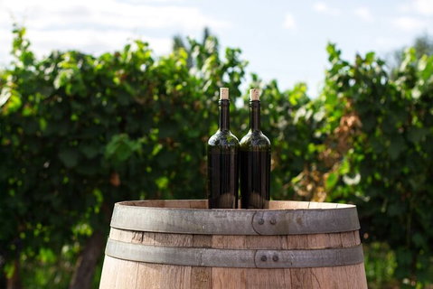 Hinterland Heritage Wine Tour - Attractions Sydney 7