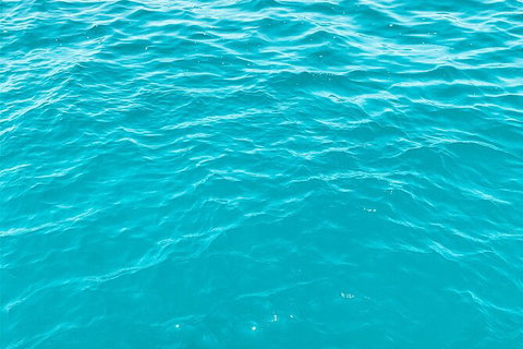 5 Night Bareboat Onboard Cattitude - Attractions Sydney 2