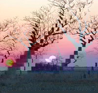 8-Day Outback Experience from Queensland - Attractions Sydney