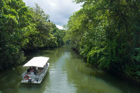 World Heritage Highlights: Reef/Daintree/Cape Tribulation - Attractions Sydney 1