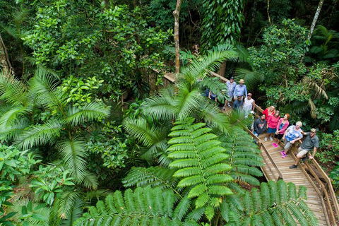 World Heritage Highlights: Reef/Daintree/Cape Tribulation - Attractions Sydney 3