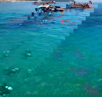 Adventure Moreton Island Scuba Dive Tour - Attractions Sydney
